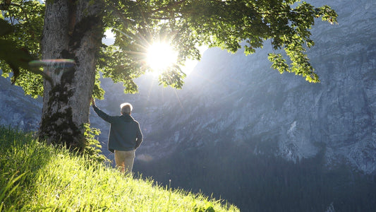 Strengthening resilience in an era of unprecedented environmental stressors