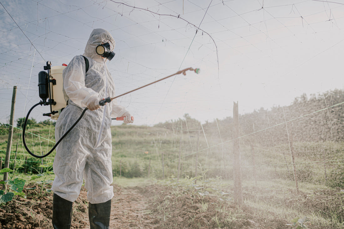 Glyphosate and the Body’s Innate Resilience