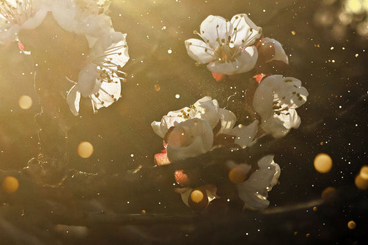 Botanical Foundations of Resilience