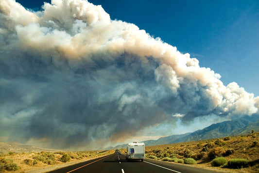 Wildfire season & building natural resilience