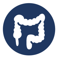 Colon Support Icon
