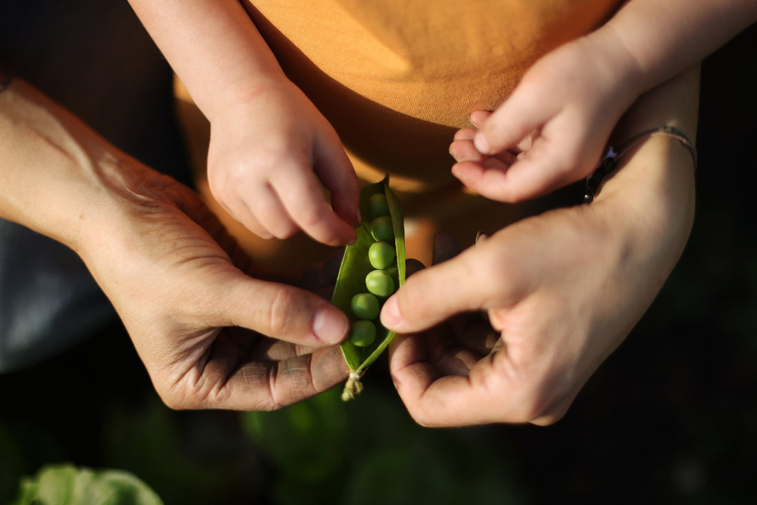 Biopure Health