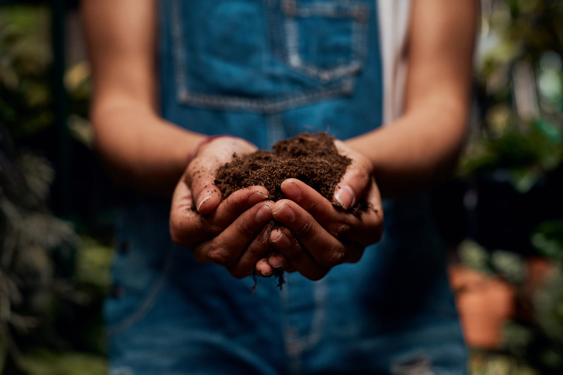 Biopure Health