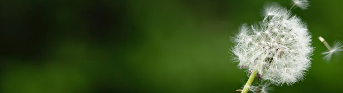 Biopure Health